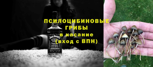 амф Володарск