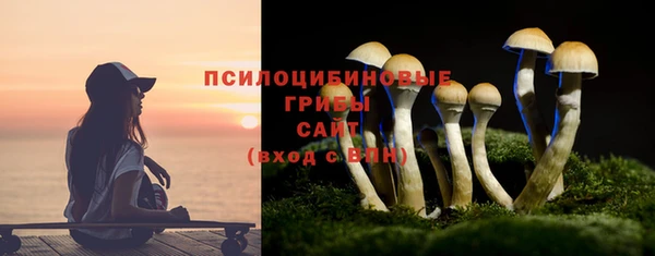 амф Володарск