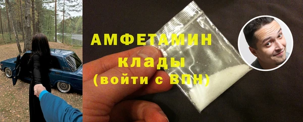 дмт Тайга