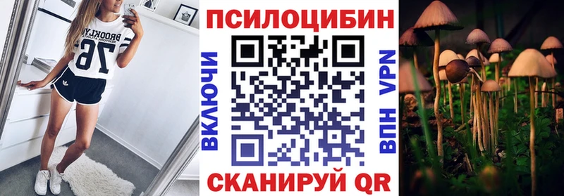 Галлюциногенные грибы MAGIC MUSHROOMS  где купить наркоту  Монино 